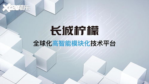 沒(méi)有大梁科技湊 哈弗大狗越野性能解析與新材料技術(shù)賦能